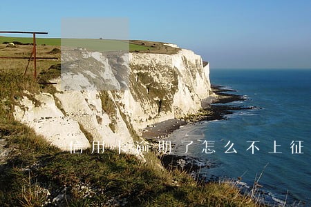 信用卡逾期了怎么不上征信 信用卡逾期了怎么不上征信