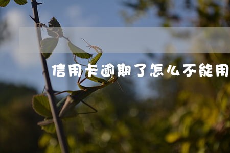 信用卡逾期了怎么不能用了 信用卡逾期了怎么不能用了