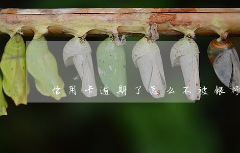 信用卡逾期了怎么不被银行卡划走