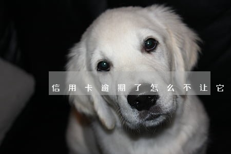 信用卡逾期了怎么不让它实时扣款