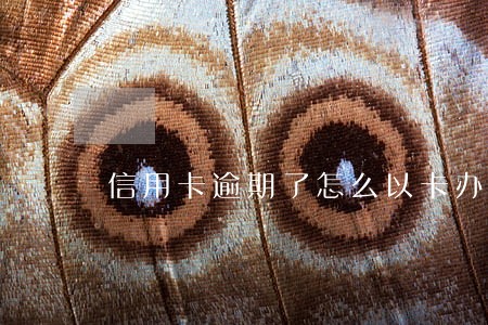信用卡逾期了怎么以卡办卡 信用卡逾期了怎么以卡办卡