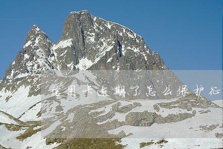 信用卡逾期了怎么保护征信 信用卡逾期了怎么保护征信