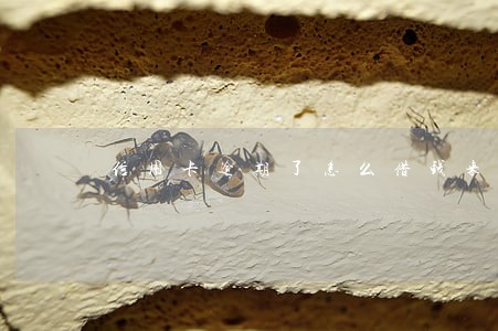 信用卡逾期了怎么借钱来还
