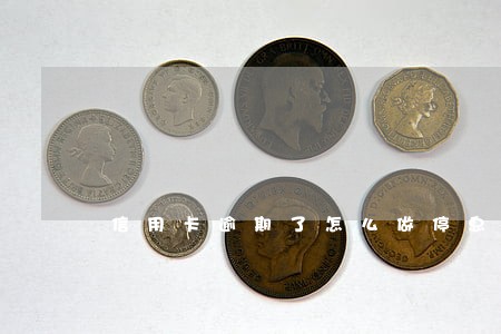 信用卡逾期了怎么做停息挂账
