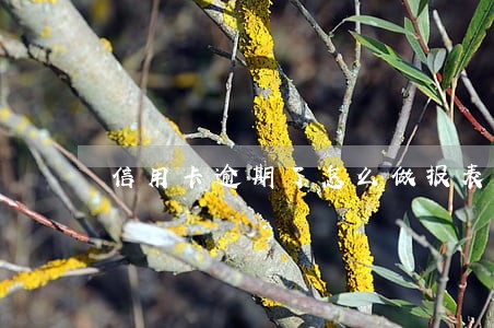 信用卡逾期了怎么做报表 信用卡逾期了怎么做报表