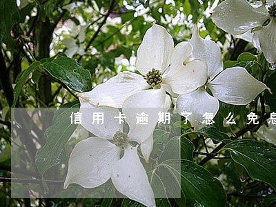 信用卡逾期了怎么免息 信用卡逾期了怎么免息