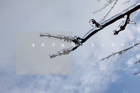 信用卡逾期了怎么写申请 信用卡逾期了怎么写申请