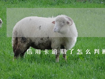 信用卡逾期了怎么判断还是本金