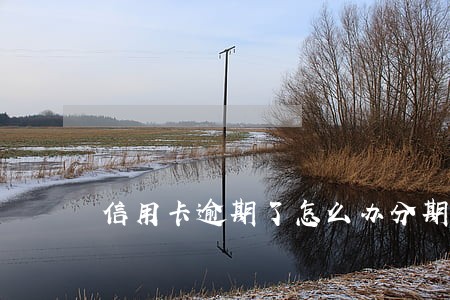 信用卡逾期了怎么办分期付款