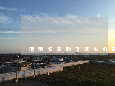 信用卡逾期了怎么办可以上岸吗 信用卡逾期了怎么办可以上岸吗