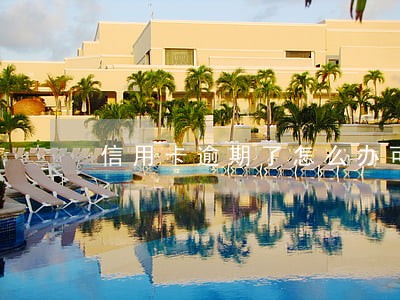 信用卡逾期了怎么办可以不还利息 信用卡逾期了怎么办可以不还利息