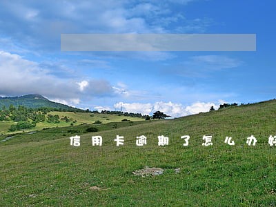 信用卡逾期了怎么办好