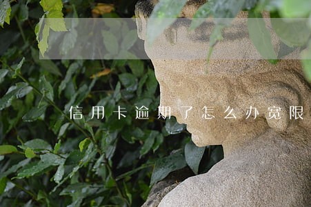 信用卡逾期了怎么办宽限期 信用卡逾期了怎么办宽限期