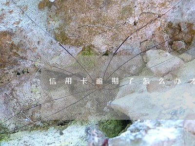 信用卡逾期了怎么办才好