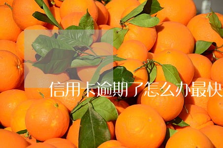 信用卡逾期了怎么办最快最有效 信用卡逾期了怎么办最快最有效