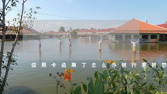 信用卡逾期了怎么办银行要报警 信用卡逾期了怎么办银行要报警