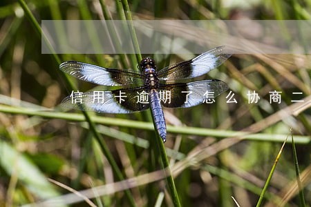 信用卡逾期了怎么协商二次分期 信用卡逾期了怎么协商二次分期