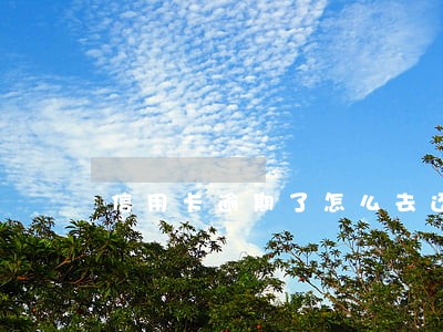 信用卡逾期了怎么去还款 信用卡逾期了怎么去还款
