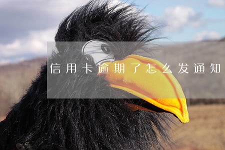 信用卡逾期了怎么发通知 信用卡逾期了怎么发通知