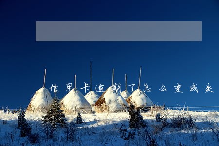 信用卡逾期了怎么变成失信人