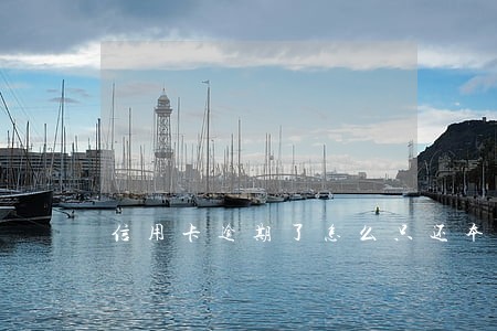 信用卡逾期了怎么只还本金 信用卡逾期了怎么只还本金