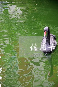 信用卡逾期了怎么向银行催款 信用卡逾期了怎么向银行催款