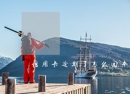信用卡逾期了怎么回本