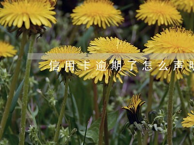 信用卡逾期了怎么声明 信用卡逾期了怎么声明