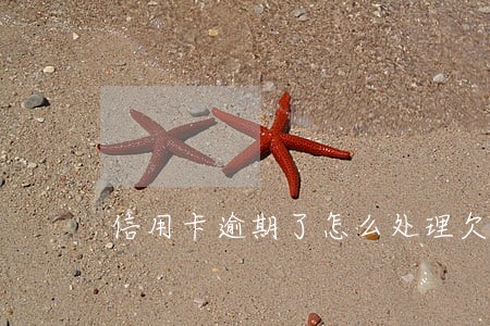 信用卡逾期了怎么处理欠款 信用卡逾期了怎么处理欠款