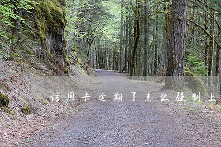 信用卡逾期了怎么强制上岸