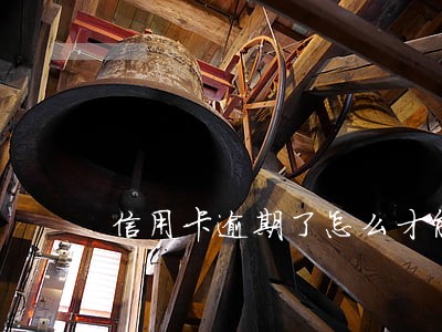 信用卡逾期了怎么才能分期还款