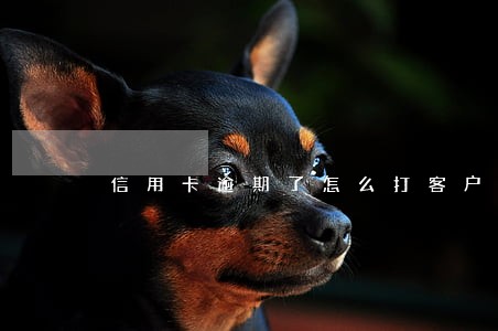 信用卡逾期了怎么打客户电话协调 信用卡逾期了怎么打客户电话协调