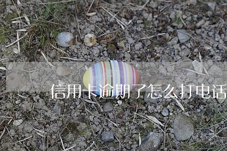 信用卡逾期了怎么打电话到家里人