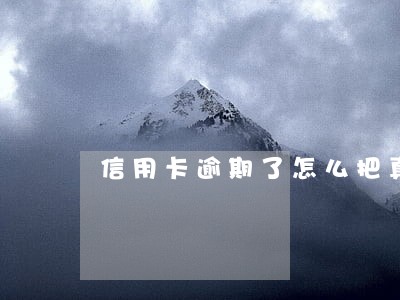 信用卡逾期了怎么把真信改了
