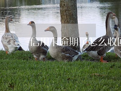 信用卡逾期了怎么收回来 信用卡逾期了怎么收回来