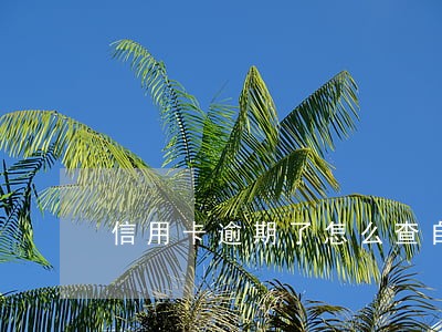 信用卡逾期了怎么查自己的本金 信用卡逾期了怎么查自己的本金