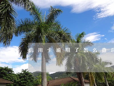 信用卡逾期了怎么查询欠多少 信用卡逾期了怎么查询欠多少