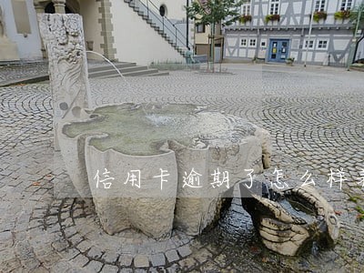 信用卡逾期了怎么样养卡 信用卡逾期了怎么样养卡