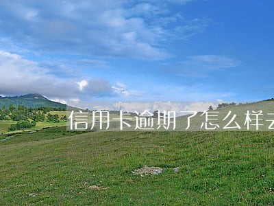 信用卡逾期了怎么样去还比较好 信用卡逾期了怎么样去还比较好