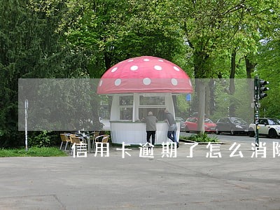 信用卡逾期了怎么消除不良征信