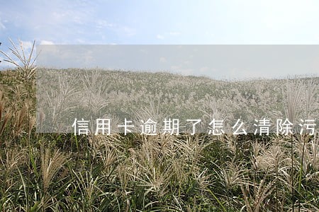 信用卡逾期了怎么清除污点