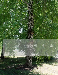 信用卡逾期了怎么理智的还 信用卡逾期了怎么理智的还
