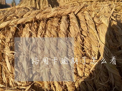 信用卡逾期了怎么看