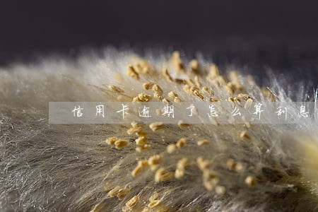 信用卡逾期了怎么算利息 信用卡逾期了怎么算利息