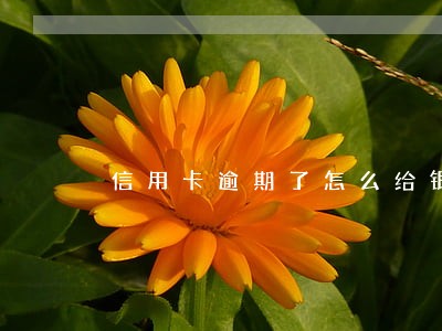 信用卡逾期了怎么给银行协商 信用卡逾期了怎么给银行协商