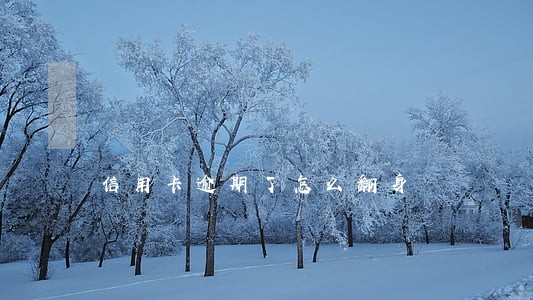 信用卡逾期了怎么翻身