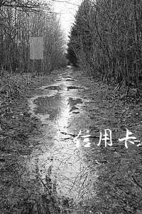 信用卡逾期了怎么能绑定微信 信用卡逾期了怎么能绑定微信