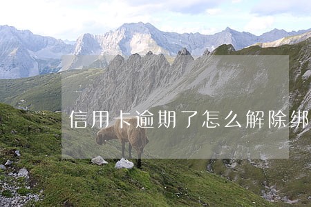 信用卡逾期了怎么解除绑定的 信用卡逾期了怎么解除绑定的