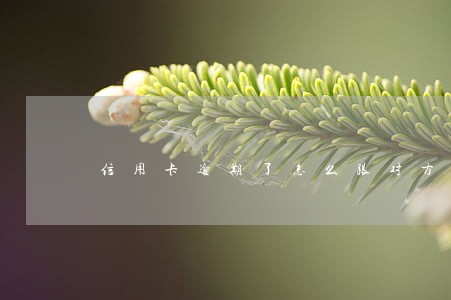 信用卡逾期了怎么跟对方律师协商