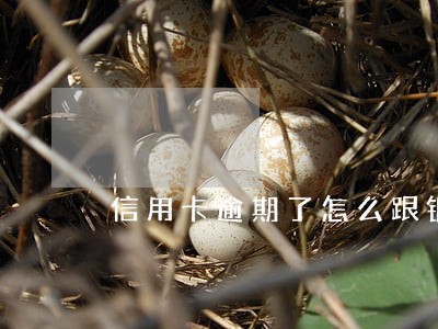 信用卡逾期了怎么跟银行说原因 信用卡逾期了怎么跟银行说原因